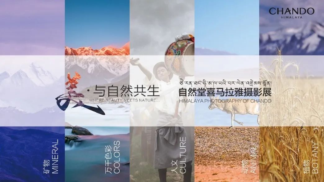 中国美容博览会