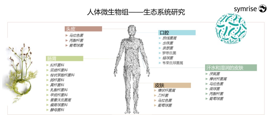 中国美容博览会 中国美容博览会